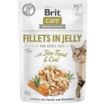 Brit Care Cat Fillets in Jelly Fine Trout & Cod 85 g – Sleviste.cz