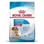 Royal Canin Starter Mother&Babydog Medium 12 kg – Hledejceny.cz