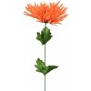 Květina Chryzantéma jehlicovitá oranžová 48 cm, balení 12 ks