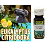 Saloos esenciální olej Eukalyptus Citriodora (Čína) 10 ml – Zboží Dáma