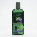 Šampon Logona jalovcový olej šampon proti lupům 250 ml