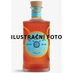 Malfy Gin con Arancia 41% 0,7 l (holá láhev) – Zboží Dáma