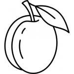 Alteya Švestkové jádro olej 100% BIO 50 ml – Sleviste.cz