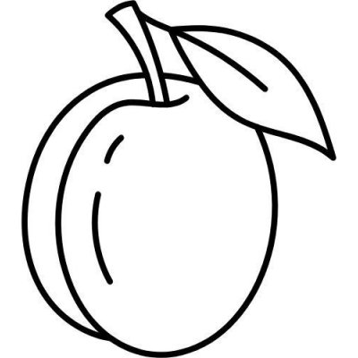 Alteya Švestkové jádro olej 100% BIO 50 ml – Sleviste.cz