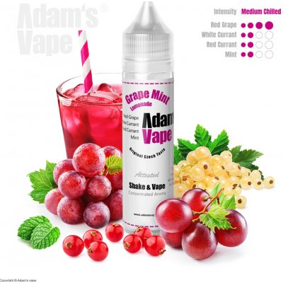 Adams vape Shake & Vape Grape Mint Lemonade 12 ml – Hledejceny.cz