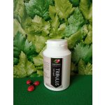Rabštejnská apatyka Tribulus terrestris kotvičník kapsle 41% 500 mg 120 tob. – Zboží Mobilmania