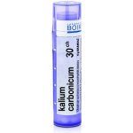 KALIUM CARBONICUM POR 30CH GRA 1X4G – Hledejceny.cz
