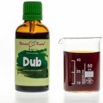 Bylinné kapky DUB tinktura 50 ml – Hledejceny.cz