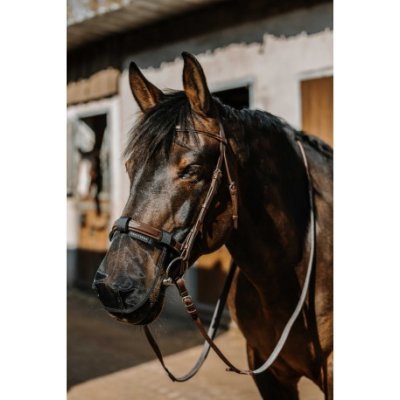 EquiThéme Síťka na nos 50% UV – Zboží Mobilmania