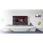 Panasonic TX-24FS503E – Hledejceny.cz