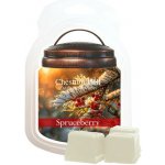 Chestnut Hill Candle Vonný Vosk Spruceberry 105 g – Hledejceny.cz