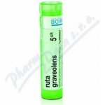 RUTA GRAVEOLENS POR 5CH GRA 4G – Hledejceny.cz