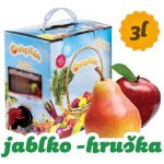 Ovocňák Mošt jablko a hruška 3 l – Hledejceny.cz