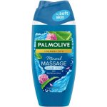 Palmolive Thermal Spa Mineral Massage sprchový gel 250 ml – Zboží Dáma