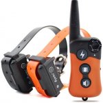 Petrainer vysílačka PET619 – Zbozi.Blesk.cz