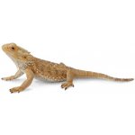 Collecta Agama vousatá – Hledejceny.cz