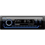 Blaupunkt BP-A1124DAB BT | Zboží Auto