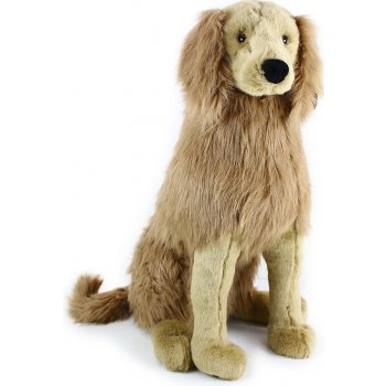 pes zlatý retriever sedící 63 cm