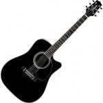 Takamine EF 341SC – Sleviste.cz