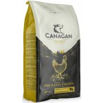 Canagan Dog Large Breed Free-Run Chicken 2 kg – Hledejceny.cz