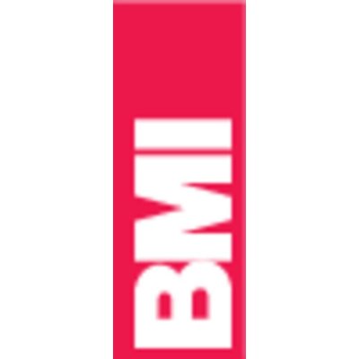 BMI 694100E 100 cm 0.5 mm/m – Hledejceny.cz