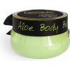 Tělové máslo Nashe Body Butter Aloe Vera tělové máslo Aloe Vera 70 g