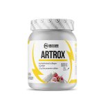 Maxxwin Nutrition Artox Instant malina 500 g – Hledejceny.cz