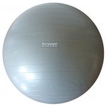 POWER SYSTEM POWER GYMBALL 55 cm – Hledejceny.cz