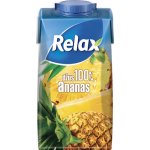 Relax 100% ananas s dužinou 1l – Zbozi.Blesk.cz