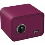 Olympia GOsafe 100 Fingerprint – Zboží Živě