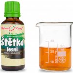 Bylinné kapky Štětka lesní 30 ml – Hledejceny.cz
