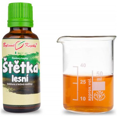 Bylinné kapky Štětka lesní 30 ml – Hledejceny.cz