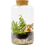 Gardners Skleněná dóza Paeonia s korkovým špuntem, 25x15 cm - osázené vlhkomilně – Hledejceny.cz