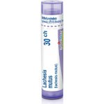 LACHESIS MUTUS POR 30CH GRA 4G – Hledejceny.cz