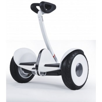 Ninebot Segway S