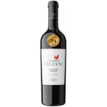 Casale Ciliani NEGROAMARO Primitivo IGP SALENTO 2019 13,5% 0,75 l (holá láhev) – Hledejceny.cz