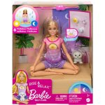Barbie Wellness a meditace od rána do večera HHX64 – Zboží Dáma