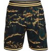 Pánské kraťasy a šortky Under Armour Curry Mesh Short 1 1380329-001