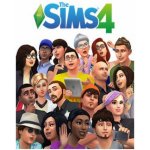 Avery Zweckform 3482 Samolepící PET fólie 25 x A4 transparentní – Zboží Dáma