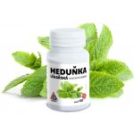 VALKNUT Meduňka lékařská Melissae Herba 100+20 kapslí – Hledejceny.cz