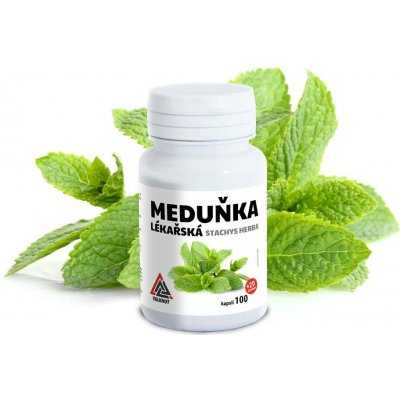 VALKNUT Meduňka lékařská Melissae Herba 100+20 kapslí – Hledejceny.cz