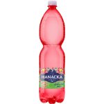 Hanácká Kyselka Zahradní směs jemně perlivá 1,5 l – Hledejceny.cz
