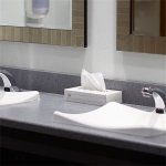 Tork papírové kapesníčky 2-vrstvé 100 ks – Zboží Dáma