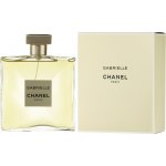 Chanel Gabrielle parfémovaná voda dámská 100 ml – Zboží Mobilmania