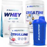 Allnutrition Whey Protein 908 g – Zboží Dáma