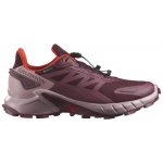 Salomon Supercross 4 Gtx 47594500 – Zboží Dáma