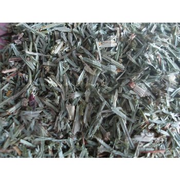 Bylinná lékárna Přeslička rolní nať Equiseti herba 1 kg