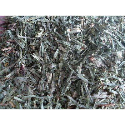 Bylinná lékárna Přeslička rolní nať Equiseti herba 1 kg