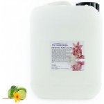 PM Aqualog esence do parních kabin horské bylinky-limetka 915-005/D 5 l – Hledejceny.cz