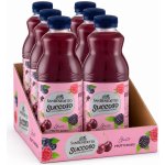 San Benedetto ovocný nápoj Succoso červené ovoce 6 x 1,5 l – Zboží Mobilmania